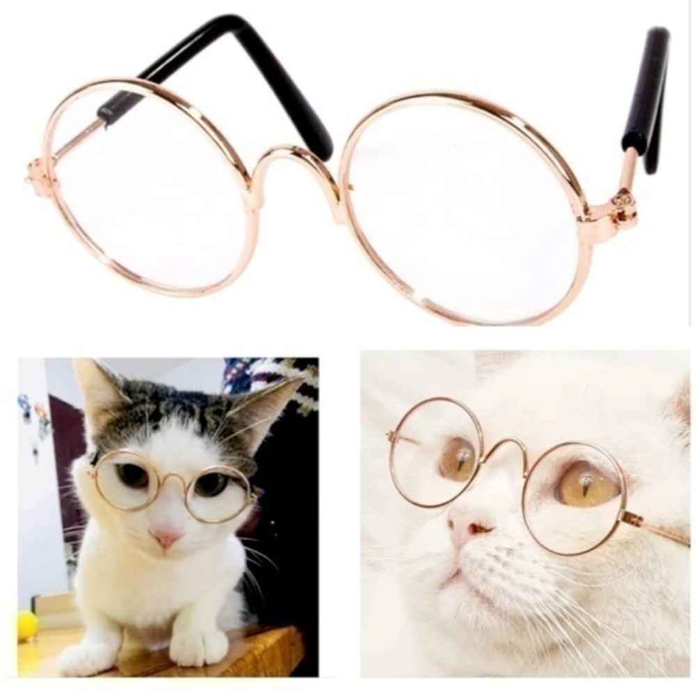 Cat - Dog - Baby Doll Glasses - Spectacles!